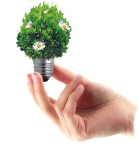 idea lightbulb green