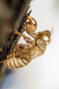 Photo credit: T. Zumbiehl via Foter.com / CC BY-NC-SA