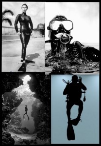 divers collage